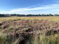 De heide, food by jenne, thuis in drenthe